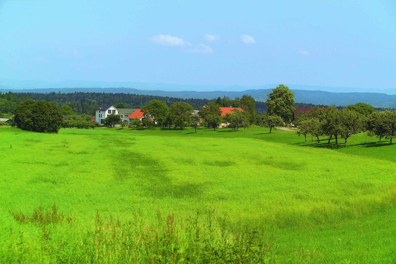 Hotel-Landgasthof Brachfeld Sulz am Neckar Zewnętrze zdjęcie